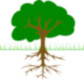 Tree Reports Melbourne Logo