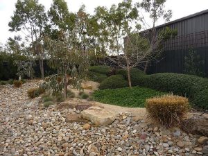 River Pebbles And Eucalypts.jpg