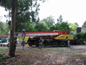 03 Crane For Dangerous Tree.jpg