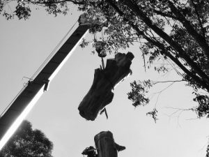 16 Top Of Trunk.jpg