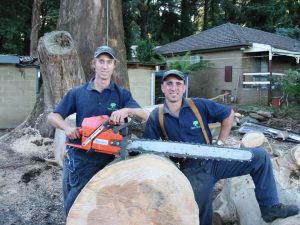 25 Hazard Tree Removal.jpg