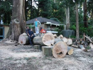 32 Tree Lopping.jpg
