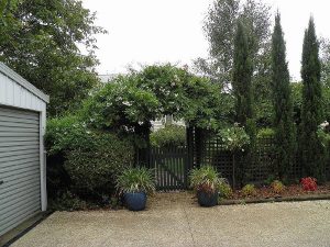Arched Gateway.jpg