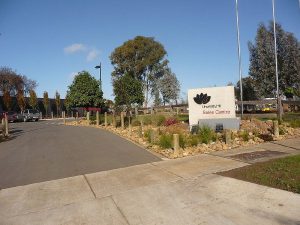 Australian Native Grasses.jpg