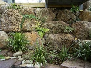 Boulders And Ferns.jpg