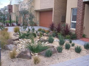 Dry Creek Bed.jpg
