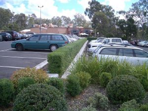 Hedges In Carpark.jpg