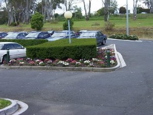 Hedging To Carpark.jpg