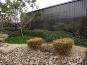 Low Flowing Hedge.jpg