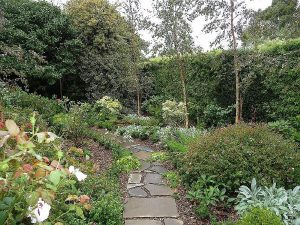Meandering Slate Path.jpg