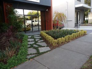 Mondo Grass Slate Paving.jpg