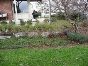 Native Grasses Boulderwork.jpg