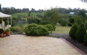 Paved Outlook.jpg