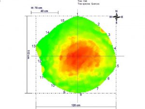 Picus 70 Cm Slice.jpg