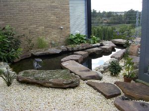 Pond With View.jpg