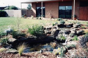 Small Pond Waterfall.jpg