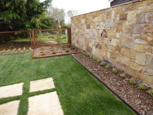 Stone Wall.jpg