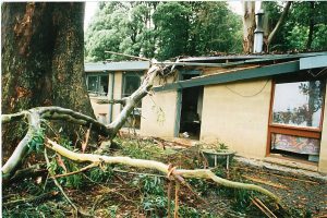 Sudden Limb Drop 03.jpg