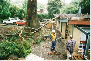 Sudden Limb Drop 04.jpg