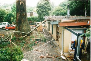 Sudden Limb Drop 07.jpg