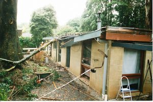 Sudden Limb Drop 08.jpg