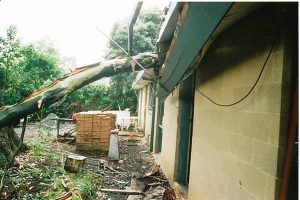 Sudden Limb Drop 09.jpg