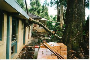 Sudden Limb Drop 5.jpg