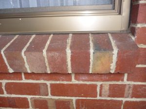 Tree Cracking Brickwork.jpg