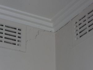 Tree Damaging House.jpg