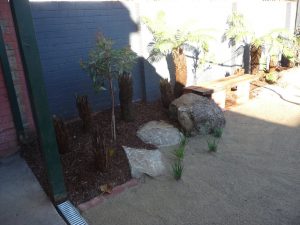 Tree Ferns Boulders.jpg