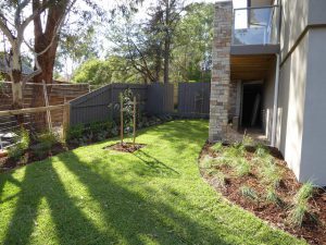 Turfed Lawn.jpg